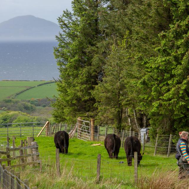 Farmer Heather close South Ayrshire Scotland