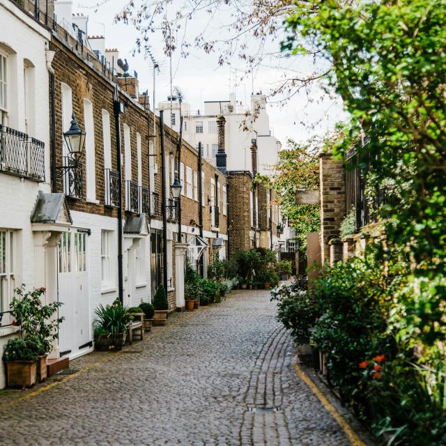 London side street with tree line