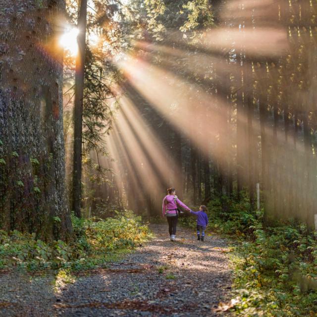 Mother and daughter walking through forest