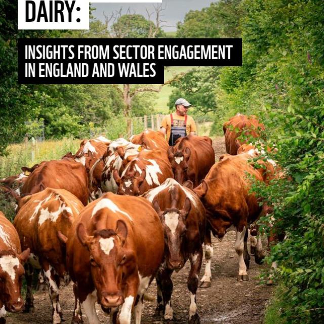 Cover image for 'Insights from sector engagement in England and Wales' report