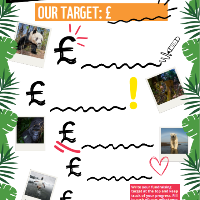 A school fundraising totaliser