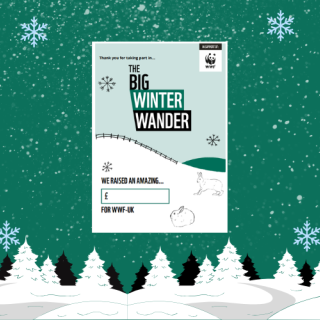Big Winter Wander Poster