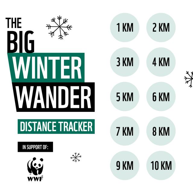 Big Winter Wander 10km tracker