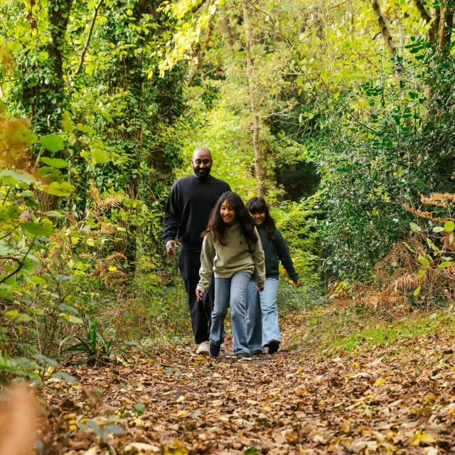 Family walking in woods wearing Pangaia jumpers