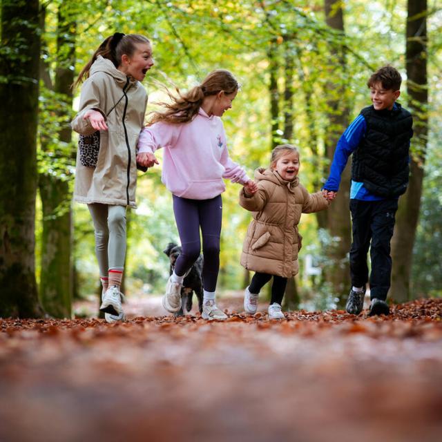 Children enjoying a woodland walk at Alice Holt Forest, Hampshire.  © Paul Rogers