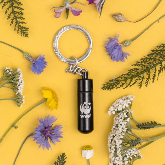 The Original Bee Revival Kit surrounded by flowers