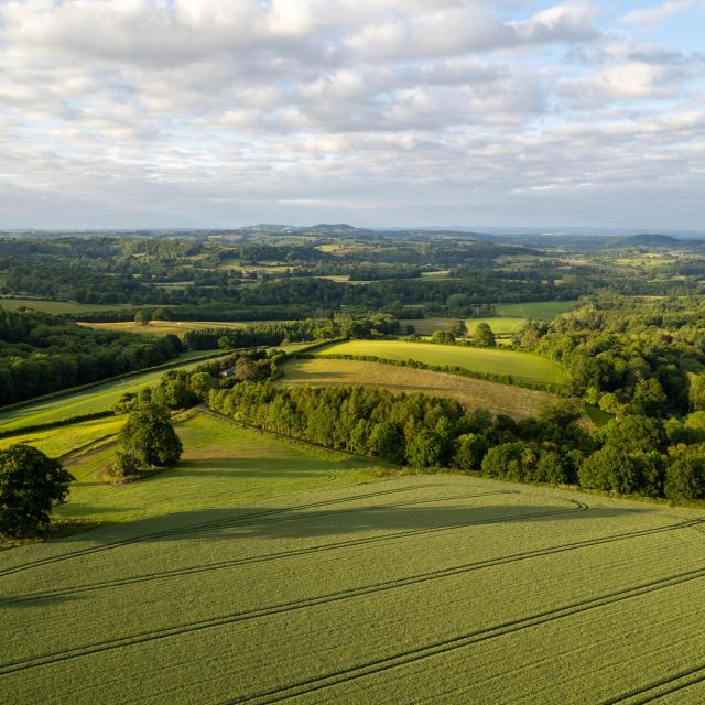 Aerial view of Warren Farm, part of the National Trust’s Brockhampton Estate, Herefordshire, UK.