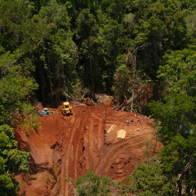 Logging road and forest destruction in pristine area of Waigeo Island, West Papua, New Guinea