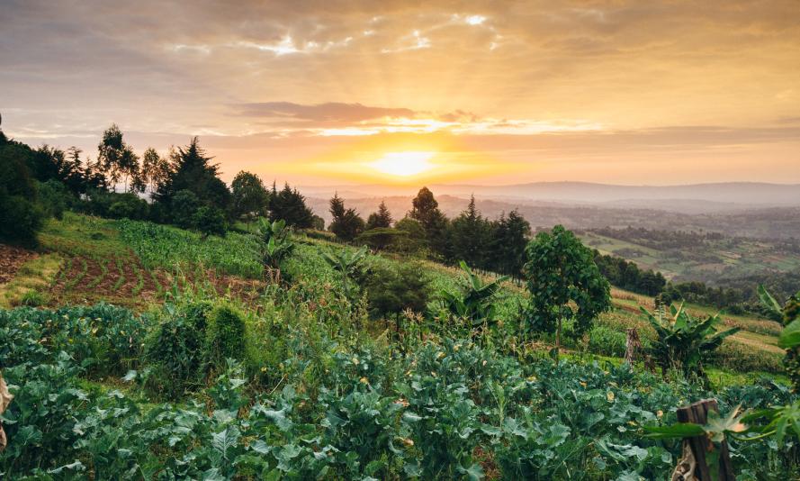 View over farmland, Mara River Upper Catchment, Kenya. Sustainable farming methods supported by supported by the HSBC Water Programme
