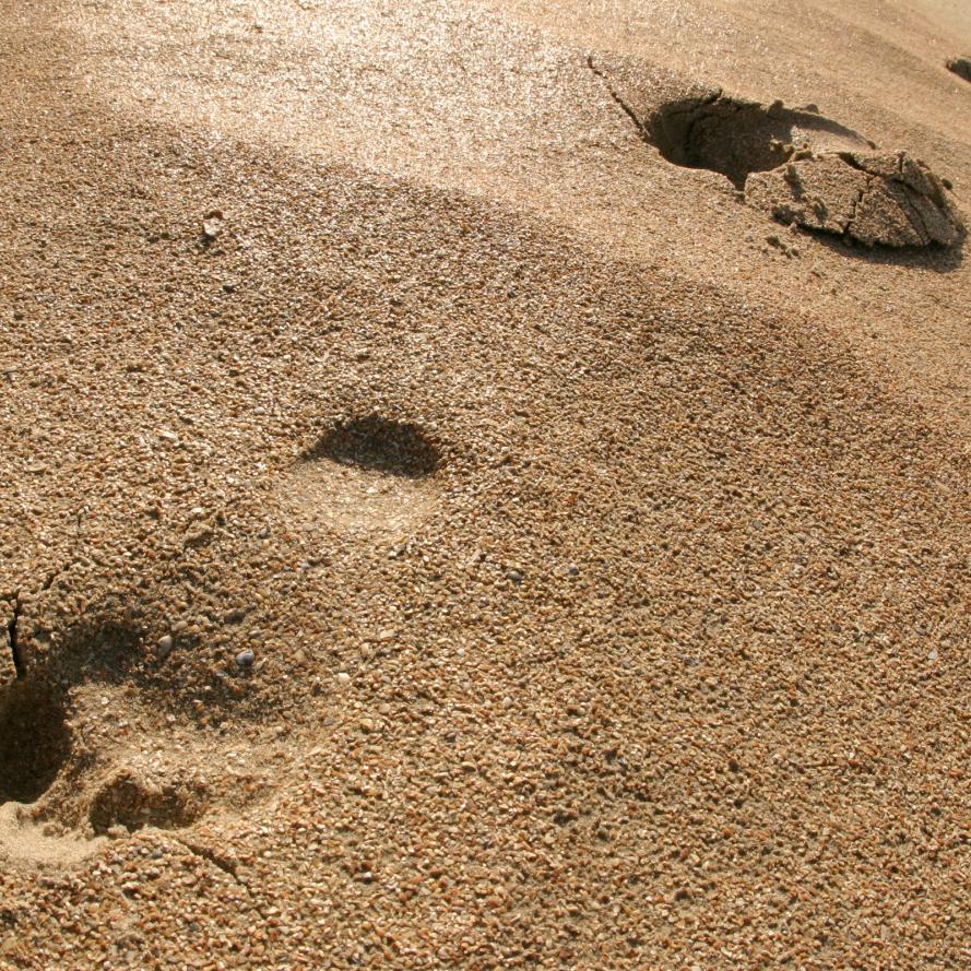 Footprints in the sand