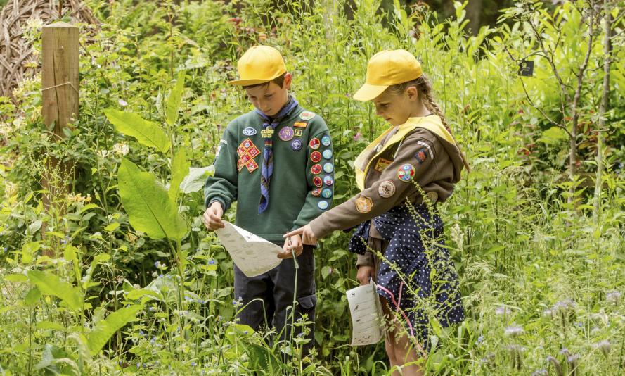 WWF Green Ambassador Scouts and Guides