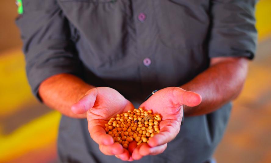 Cerrado - Soy in farmers hands Cerrado - Soy in farmers hands
