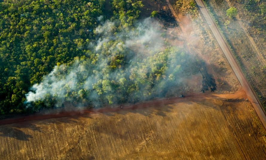 Aerial view of a harvested corn field and forest under the haze of smoke from uncontrolled forest fires in Brazil.