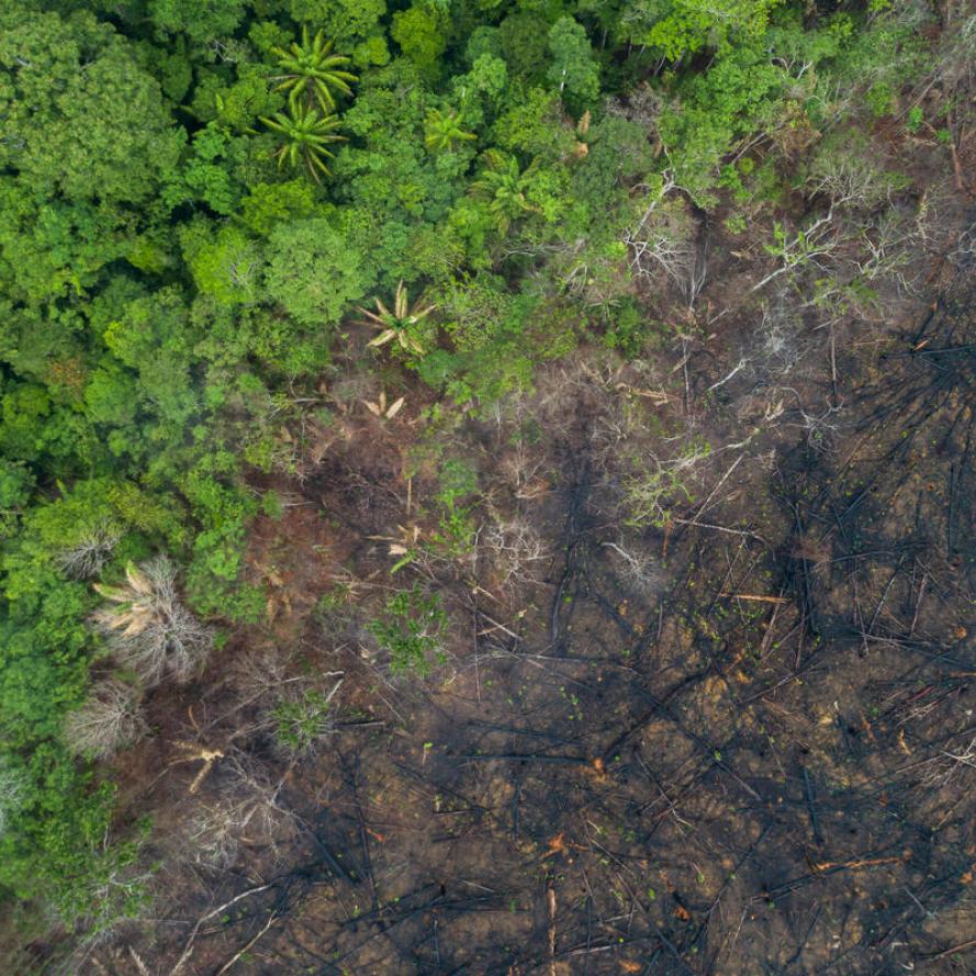 Aerial view of deforestation of the Amazon rainforest