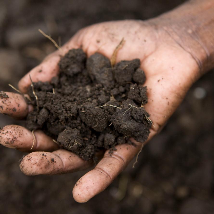 Soil in Kasese, Rwenzori Mountains, Uganda. 