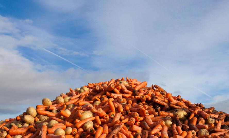 Six billion meals’ worth of edible food goes to waste