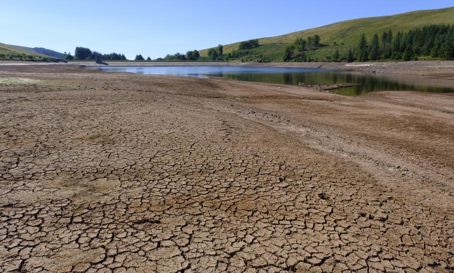 Cracked mud at Beacons Reservoir