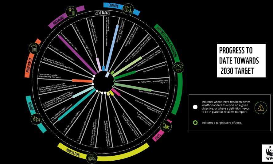 What's in Store for the Planet - Radial Diagram