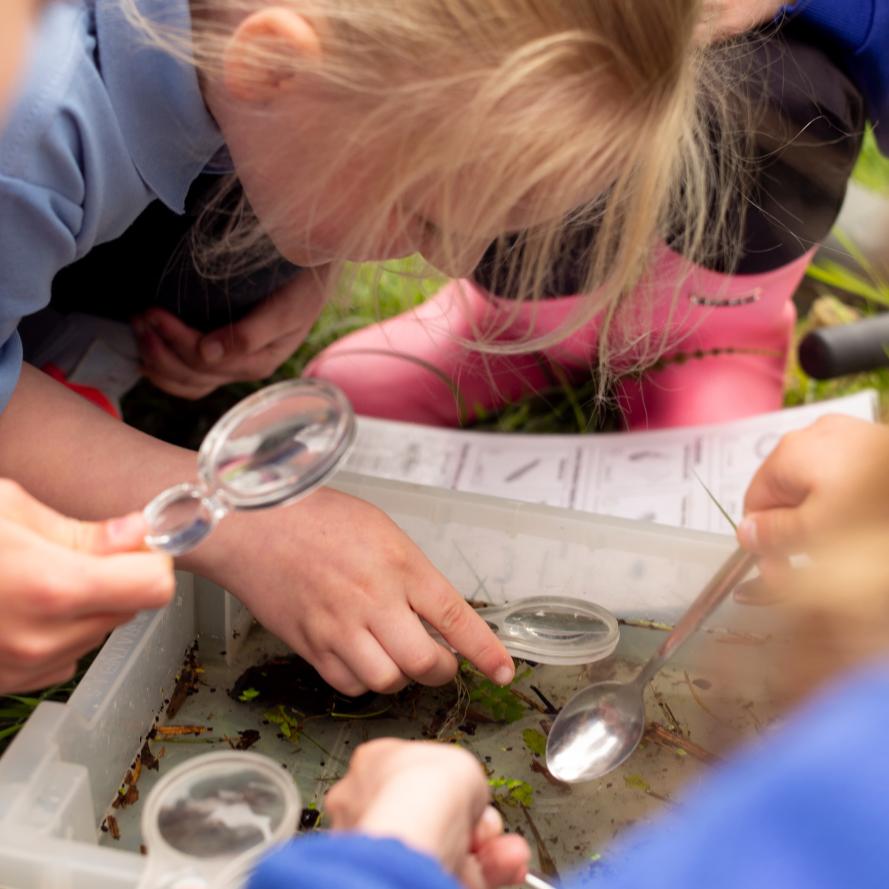 Pupils from Langham Village School visit Langham Wetlands in Norfolk. This brand-new wetland has been constructed by Finish and WWF as part of a mission to replenish 500 million litres of freshwater in the UK to help support precious habitats and species.