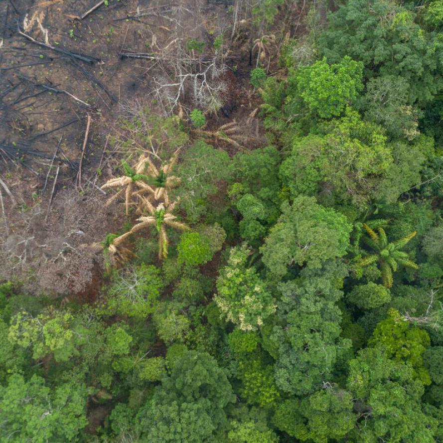 Aerial view of deforestation of the Amazon rainforest, in Maués, on december 11, 2020
