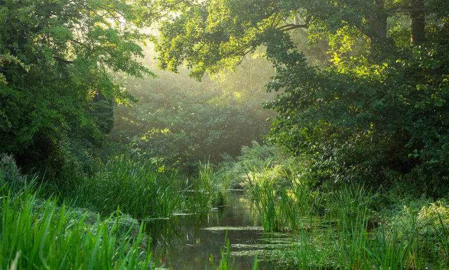Early morning sunlight breaks through tree canopy on the river Nar, near Castle Acre, Norfolk, UK.