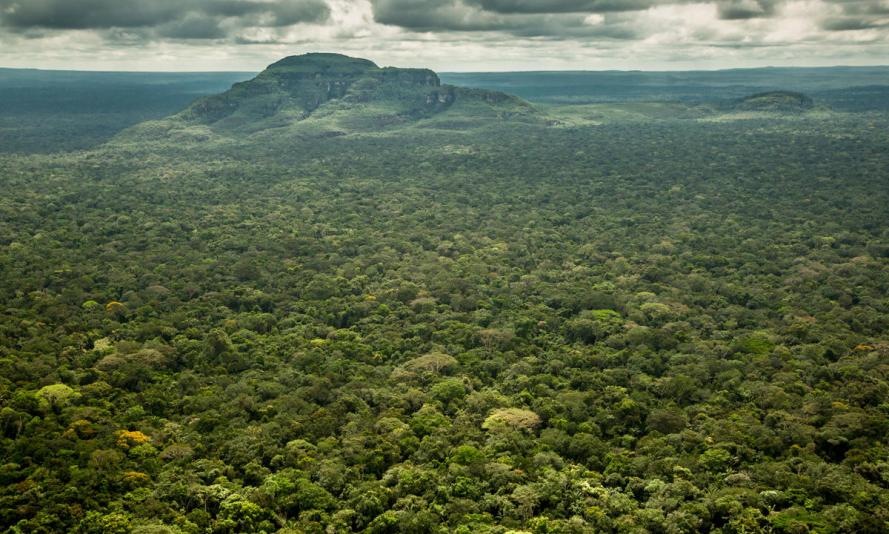 Aerial view of the tepuis of Chiribiquete National Park, Columbian Amazon Aerial view of the tepuis of Chiribiquete National Park, Columbian Amazon