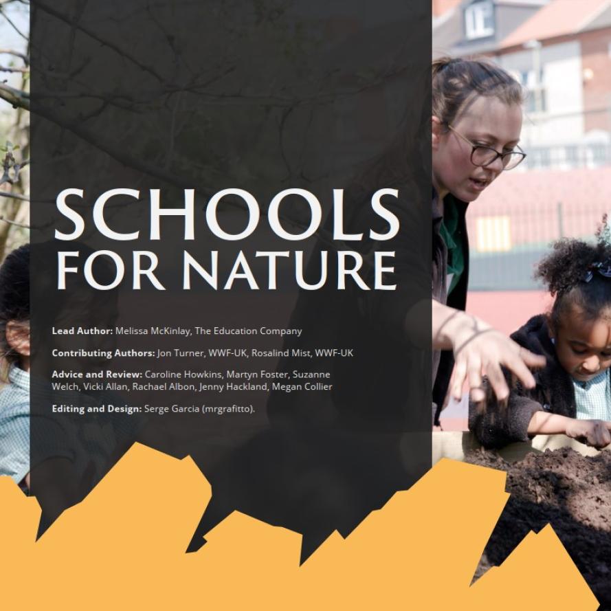 Cover image for the 'Schools for Nature' report