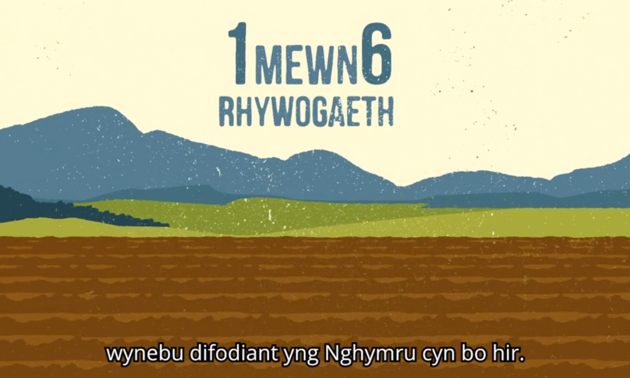 1 mewn 6 rhywogaeth yn wynebu difodiant yng Nghymru cyn bo hir Tirwedd gyda chaeau a mynyddoedd gyda'r ysgrifen: 1 mewn 6 rhywogaeth yn wynebu difodiant yng Nghymru cyn bo hir