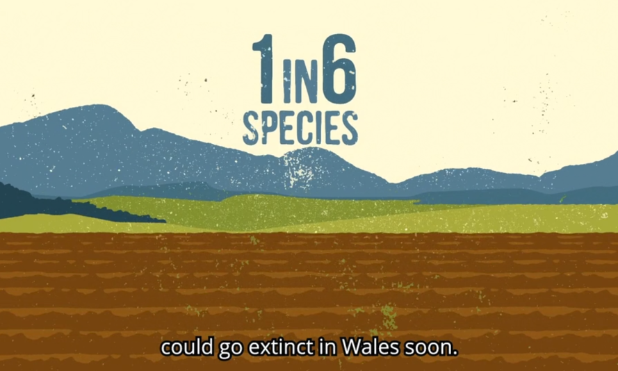 1 in 6 species could go extinct in Wales soon A graphic, showing mountains and a cultivated field, includes the text: 1 in 6 species could go extinct in Wales soon.