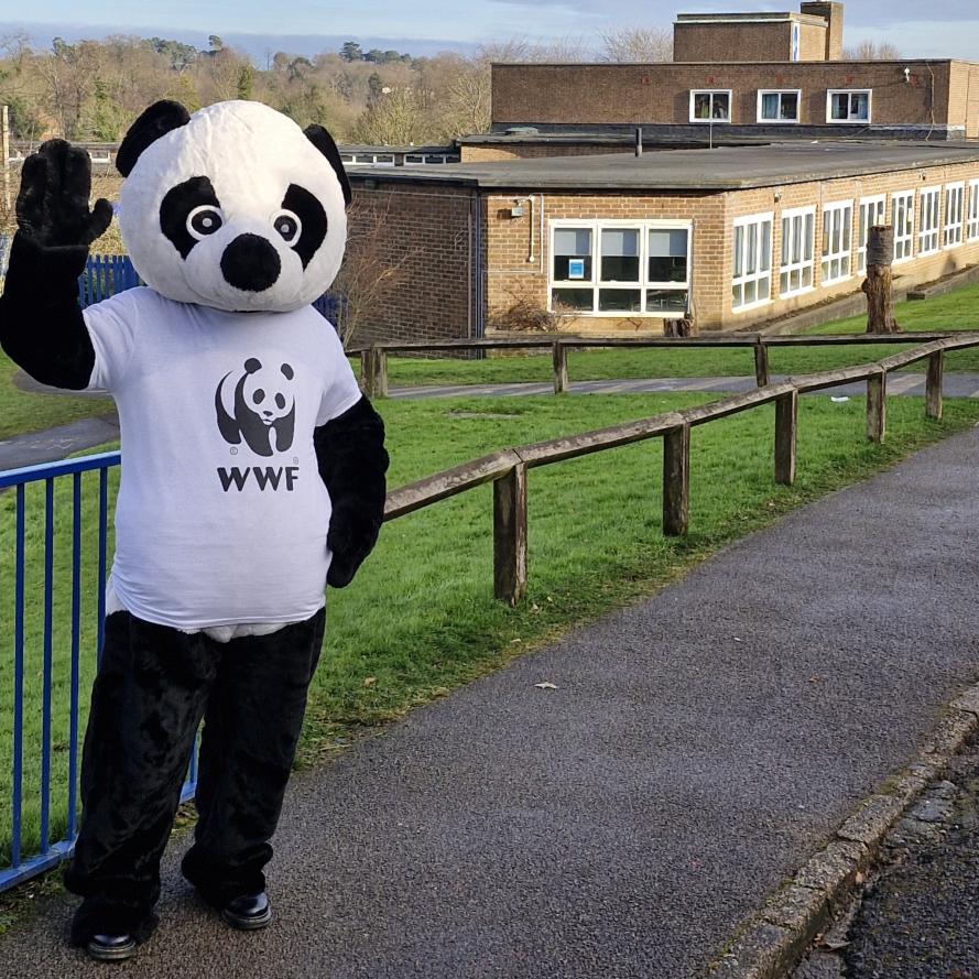 The WWF mascot, Chi Chi, wearing a WWF t-shirt outuide a school weaving