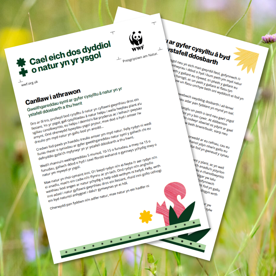 Daily dose of nature activity pack in Welsh language