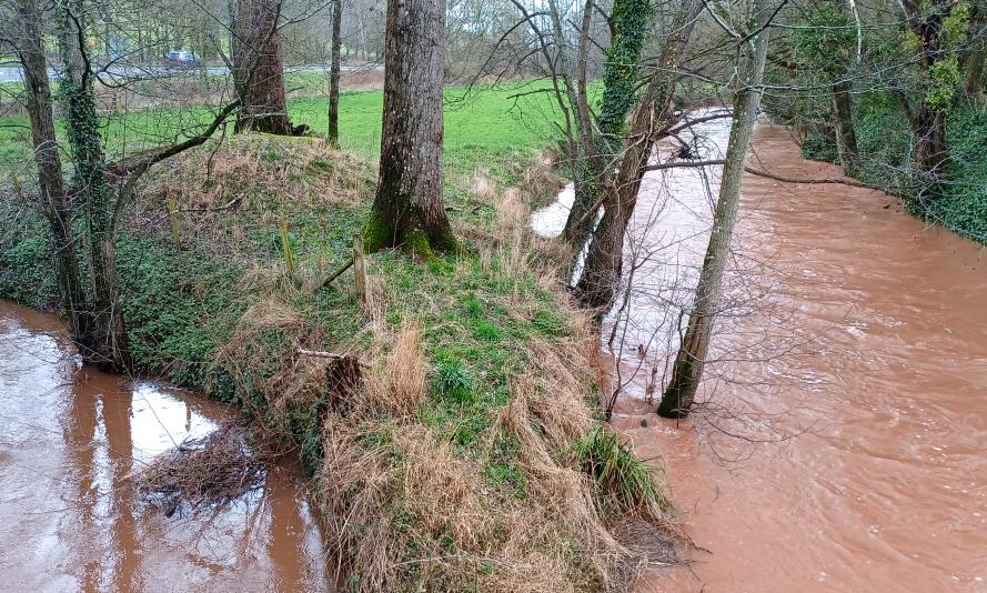 An image of a river with brown water after pollution