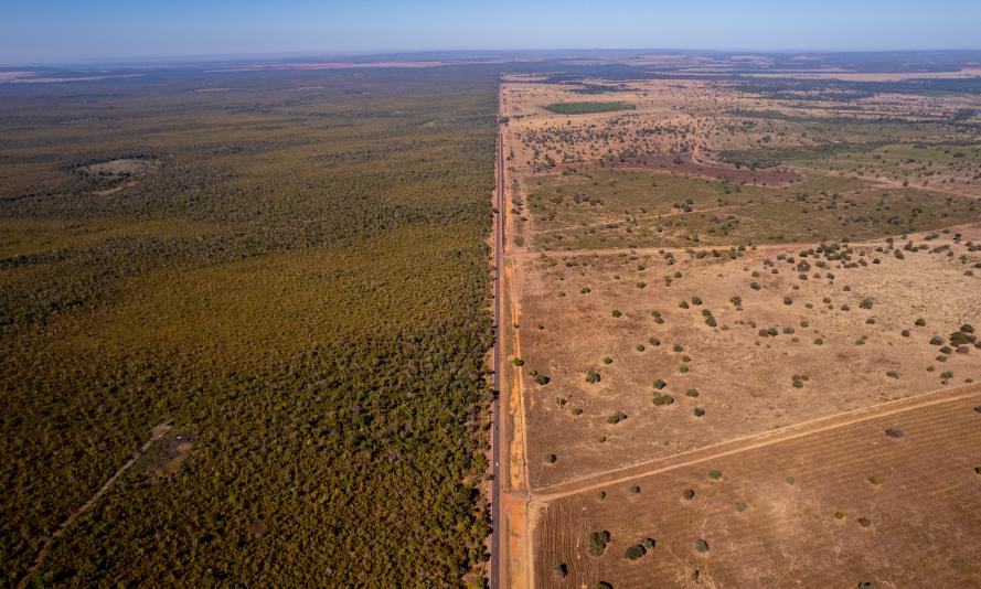 A road separates the Amazon rainforest and deforested land