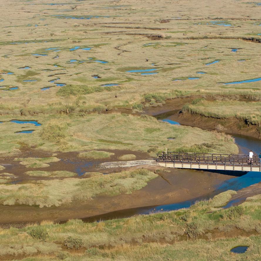 Members of the public use the newly installed bridge at Stiffkey Marshes. Stiffkey, North Norfolk, UK.