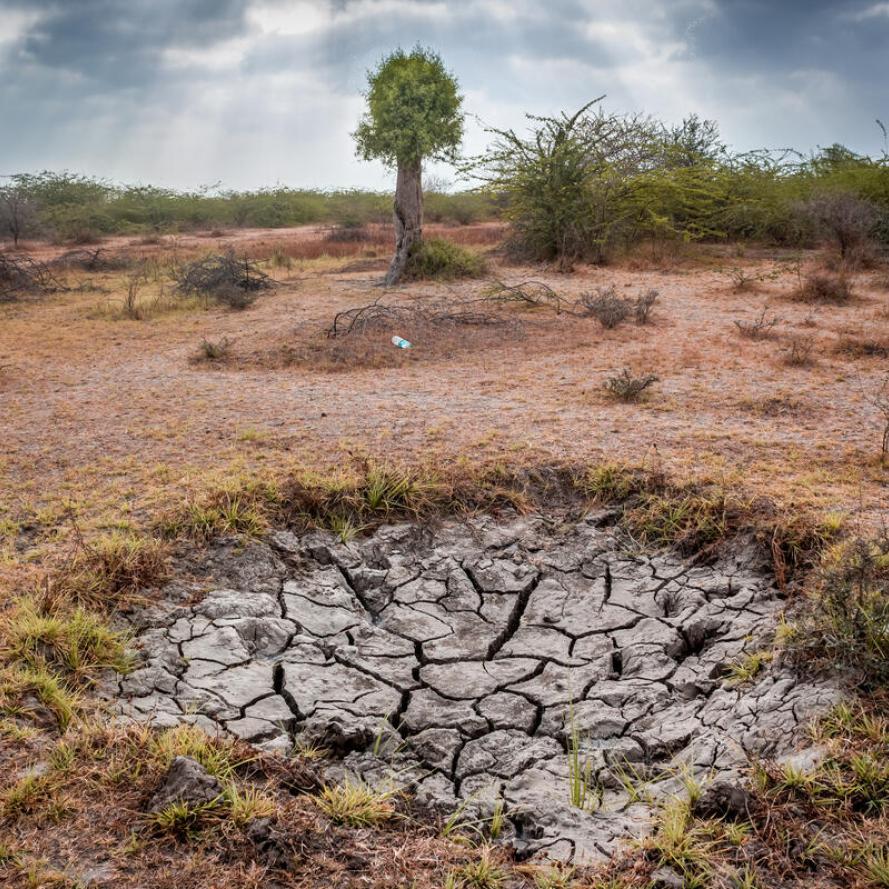 Dry land effected by drought in Gir forest of Gujarat state of India.