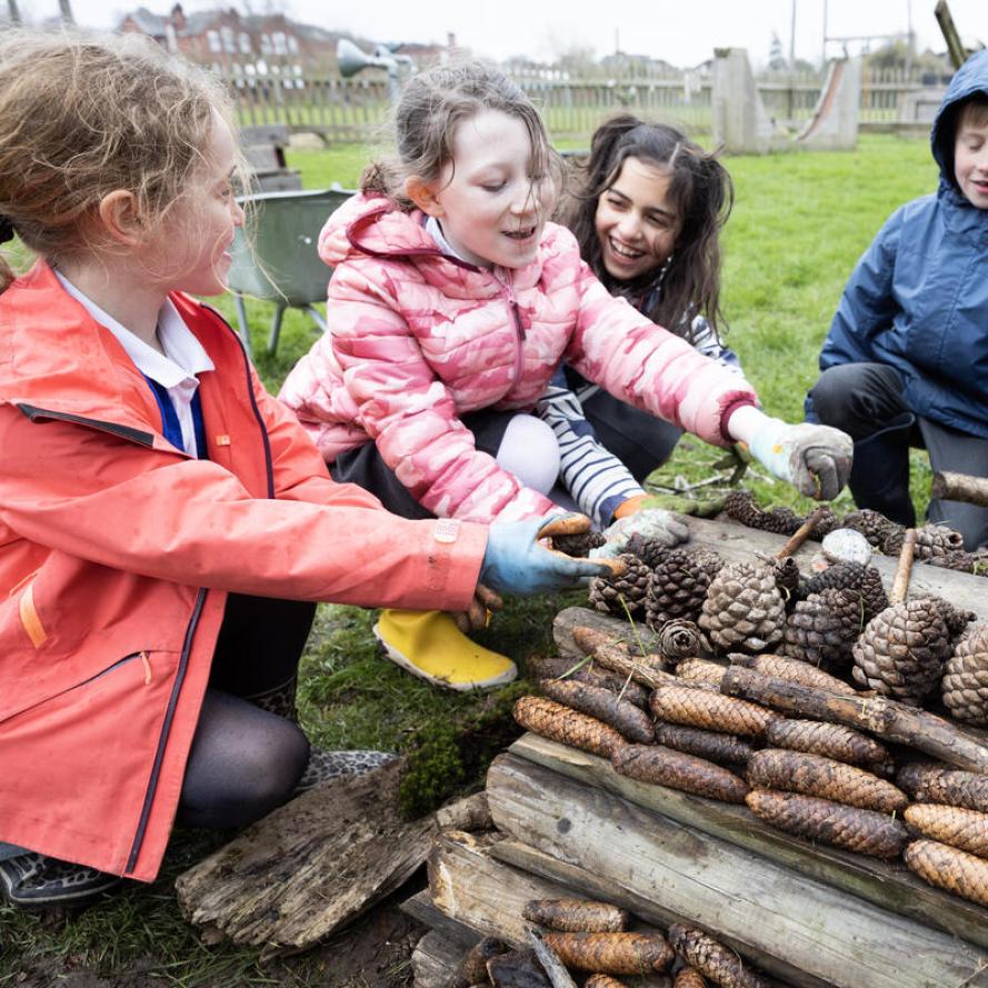 School children collecting and using wood and pinecones to build bug hotels. Bitterne Park Primary School / Southampton / Hampshire / UK.
