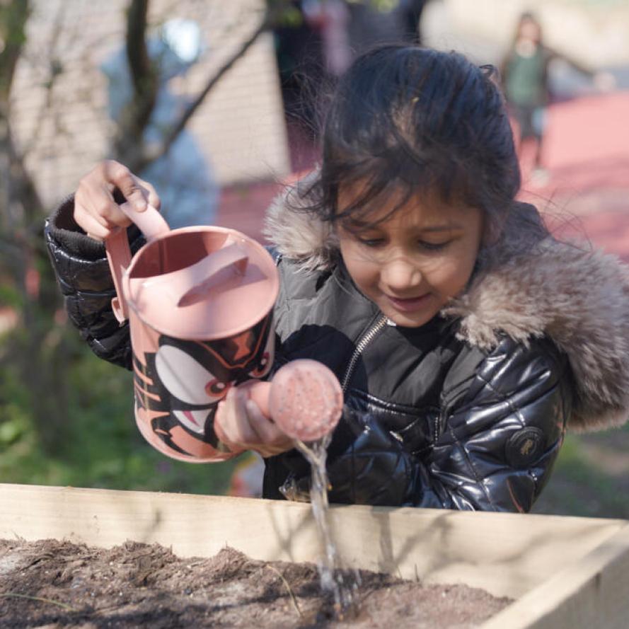 Pupils take part in Nature friendly activities