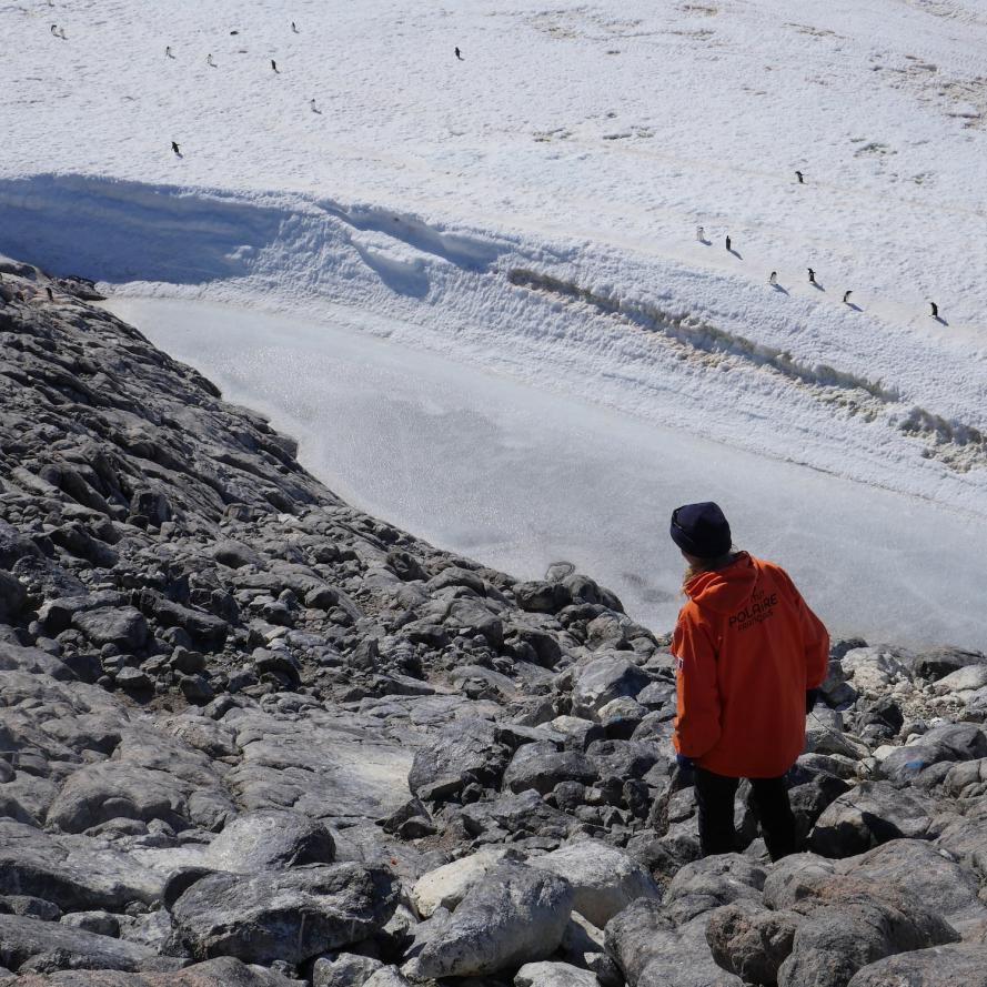 Woman dressed in warm clothes in an icy landscape