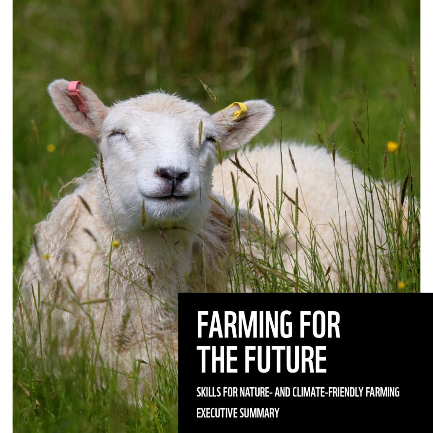 A report cover with the WWF logo and the 'Farming for the Future' title. The cover background image is a sheep on a nature friendly croft amongst long grass and wild flowers.