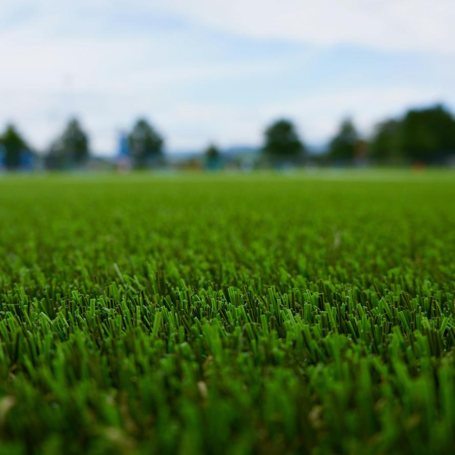 A field of fake grass