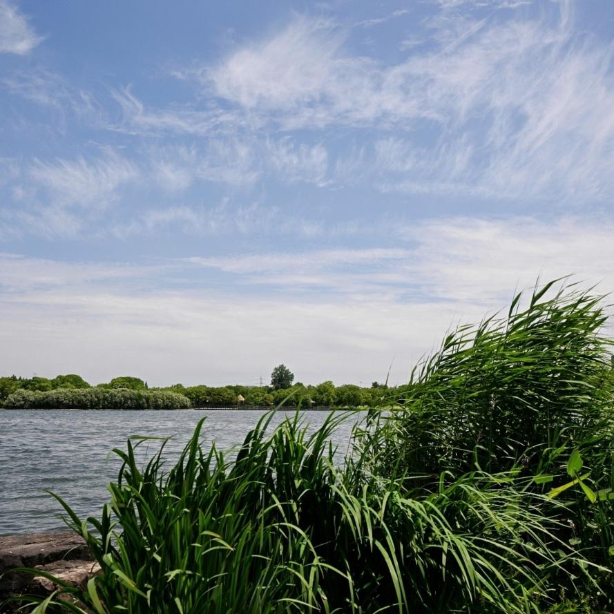 Taicang Jincanghu Provincial Wetland Park