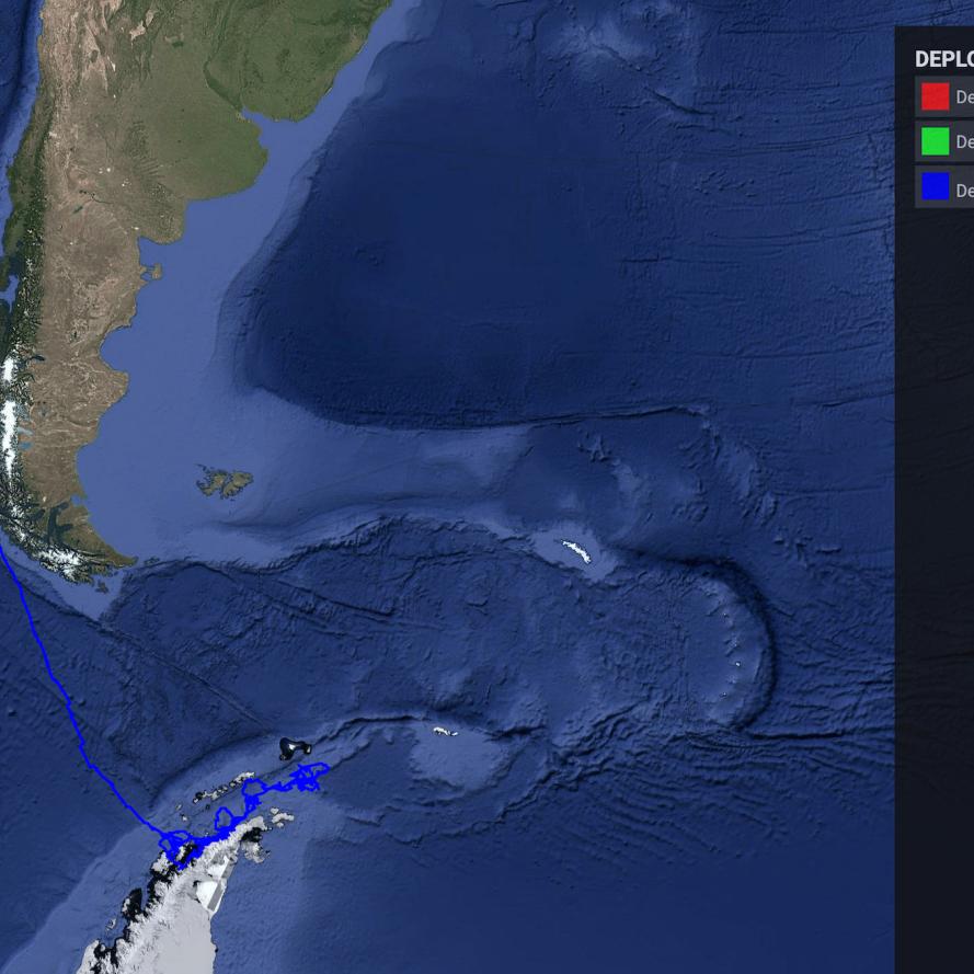 Map of Tuta the whale's journey