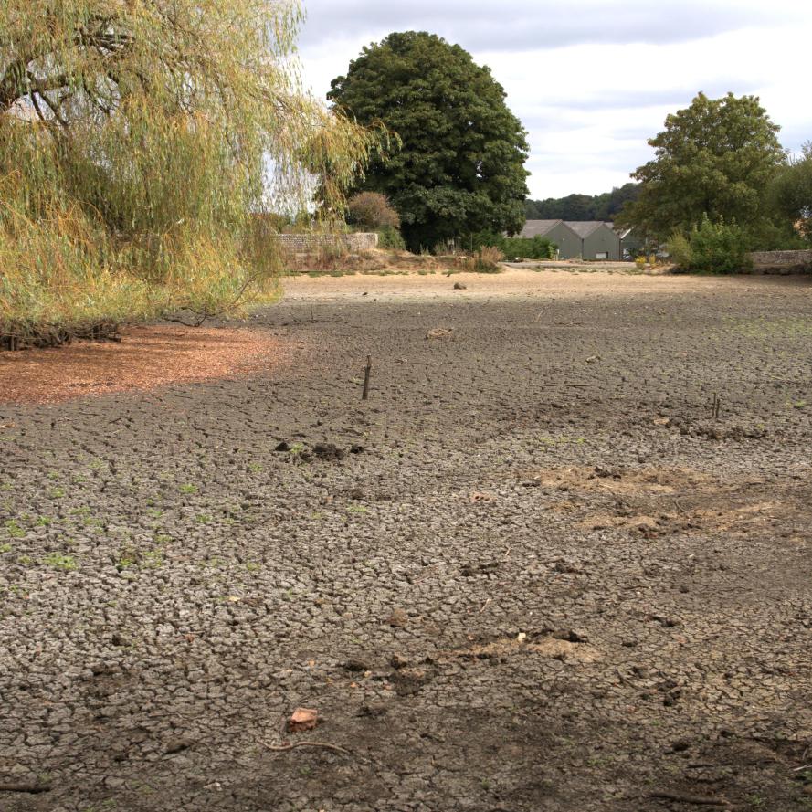 The dried bed of Falmer pond in the Summer of 2026