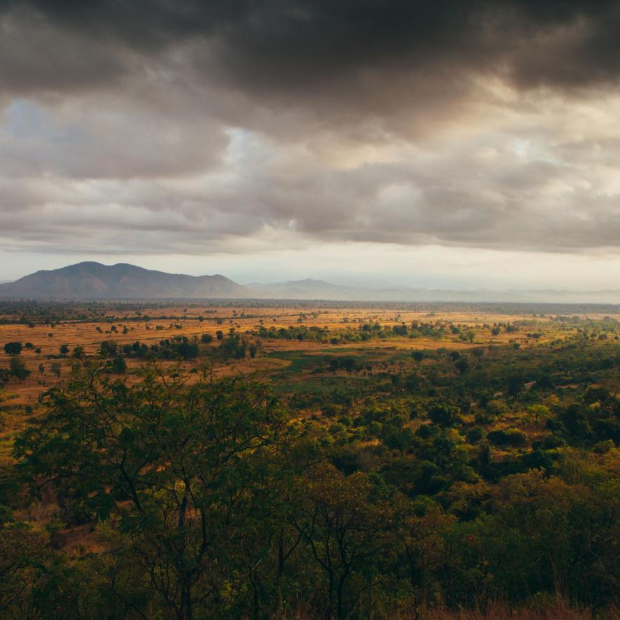Sunrise over Selous Game Reserve. Selous, Tanzania.