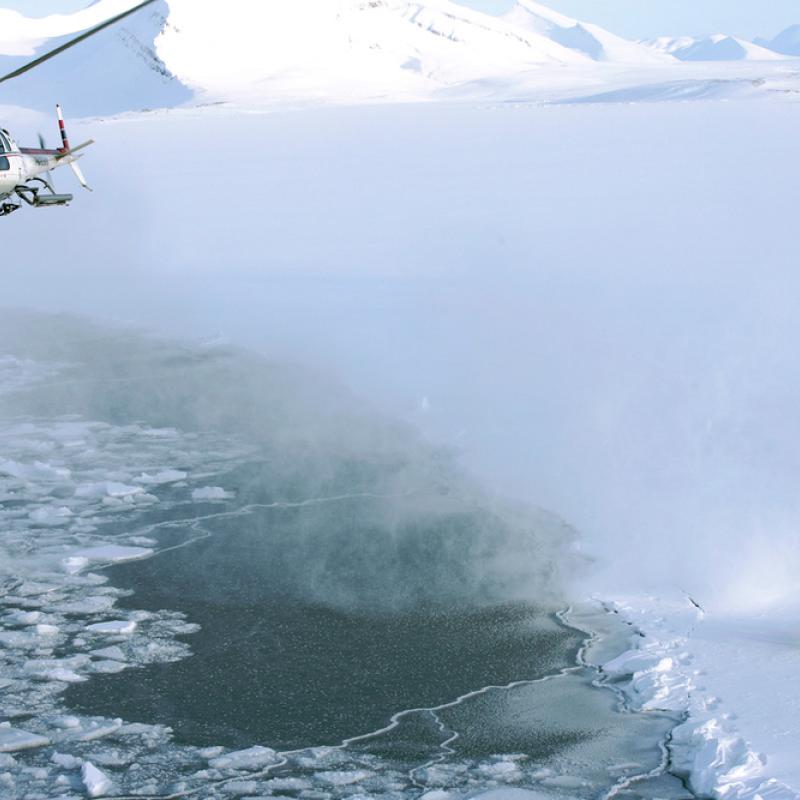 A tranquilising shot has just been fired on a polar bear from a helicopter, Svalbard, Norway.