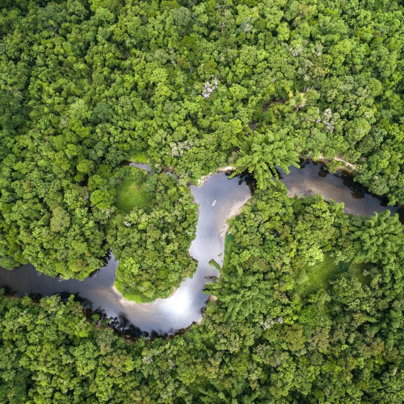 World Wide Fund for Nature | WWF