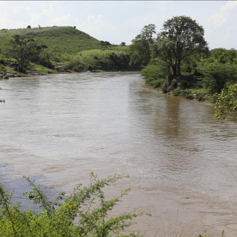 Mara Wetlands