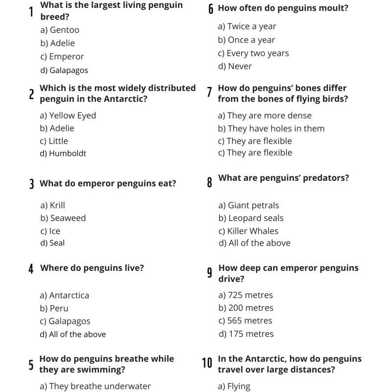 Penguin quiz 