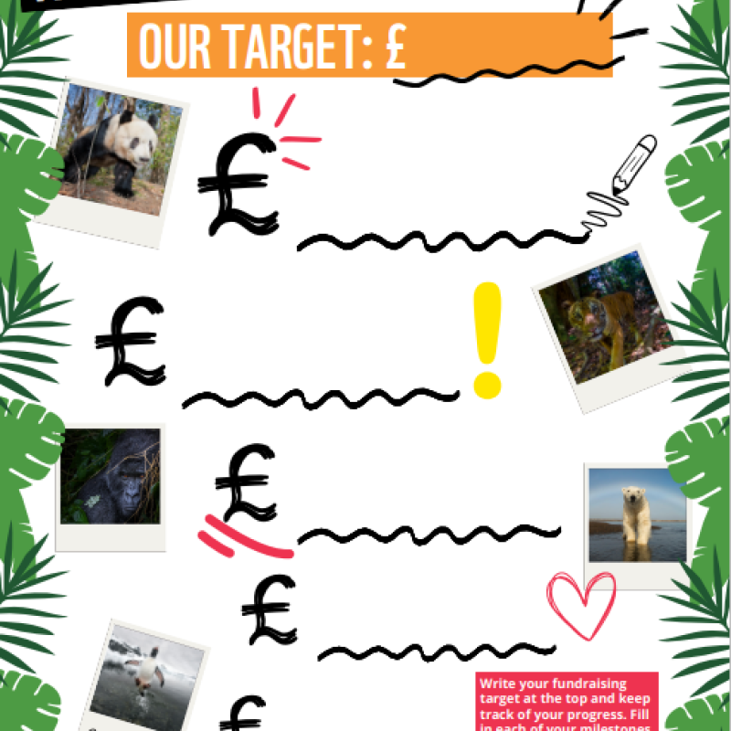 A school fundraising totaliser