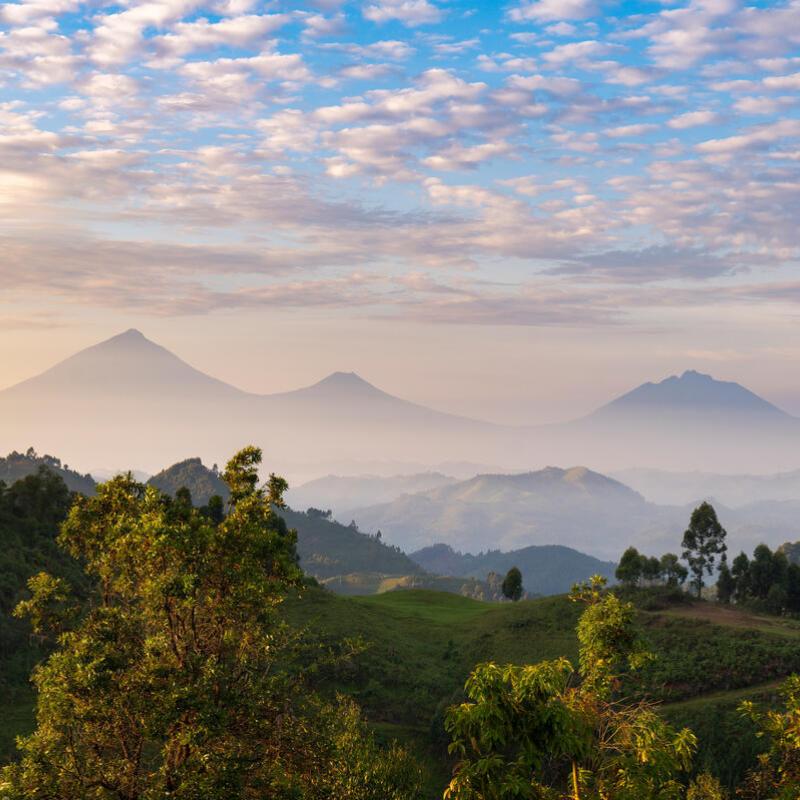 At sunrise, the volcanic peaks of Muhabura, Gahinga, and Sabyinyo rise through the mist